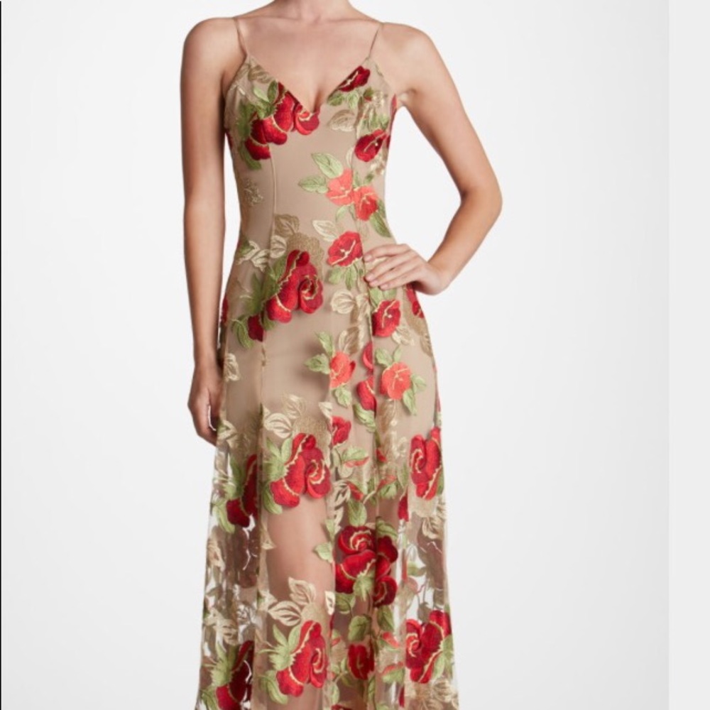 Embroidered Illusion Gown